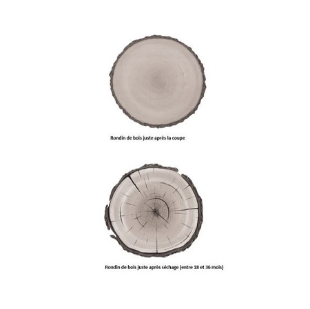 Quel type de bois utiliser pour sa cheminée ?