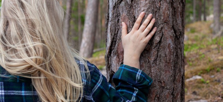 Femme touchant du bois en forêt 