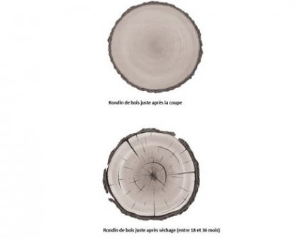 Coupe rondins de bois