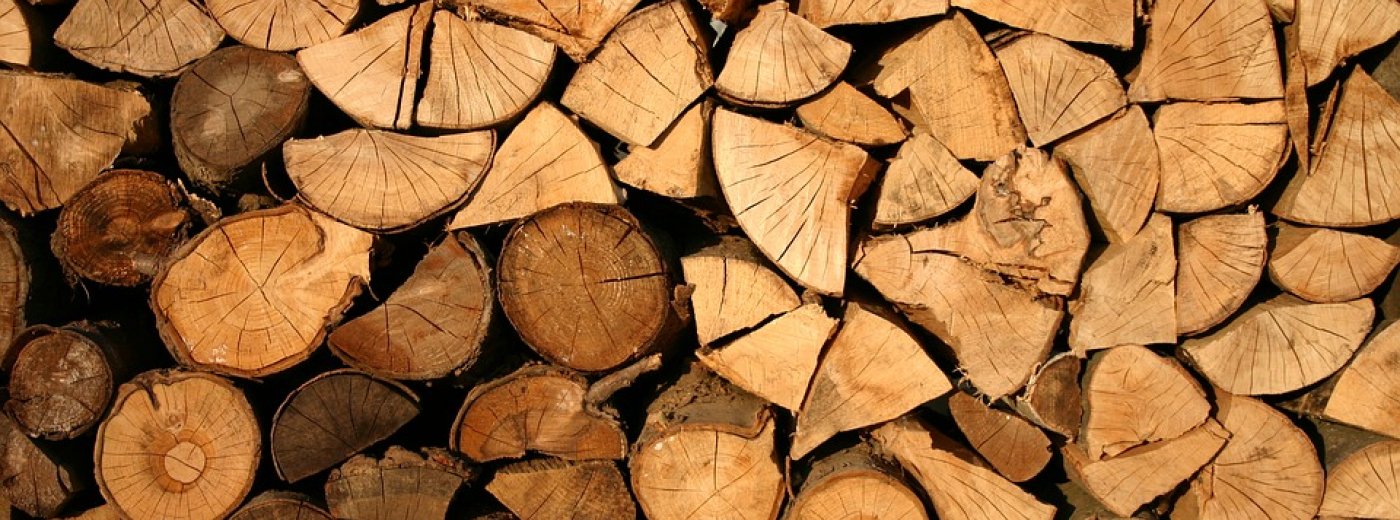 Quel bois utiliser pour une cheminée ou un poêle à bois ?