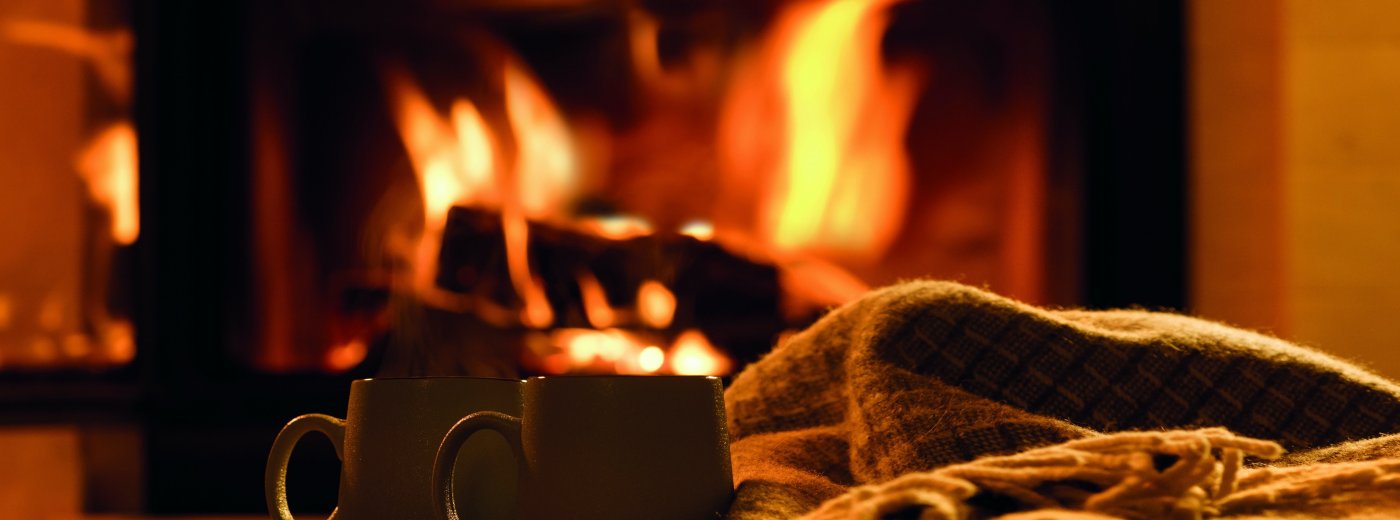 bg jotul reseau
